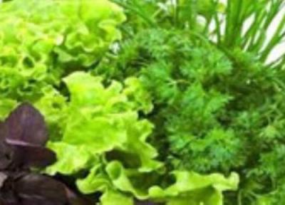 فهرستی از سبزیجات سبز فهرستی از سبزیجات سبز